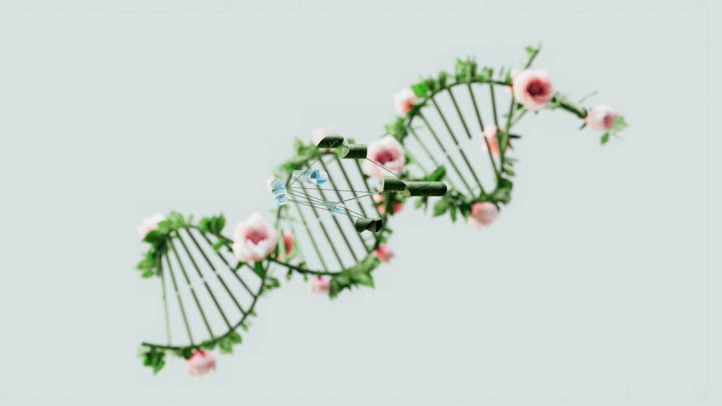 Bioinformatyka Medyczna